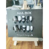 Nailsbox 14