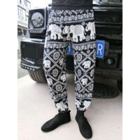 Nam 2025 Mùa Hè Bloomers Bloomers Hợp Thời Trang Rời Bloomers Mỏng Hậu Cung Quần Thái Lan Voi Phong Cách Dân Tộc Quần Thường Ngày Hàng Châu Âu