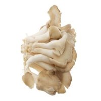 NẤM BÀO NGƯ XÁM 200G