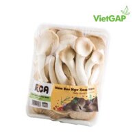 Nấm bào ngư xám non Rica (Khay 0.2Kg)