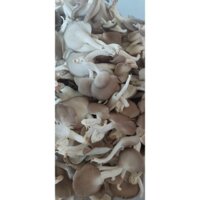 Nấm bào ngư xám phơi khô