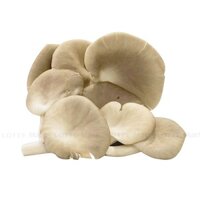 Nấm Bào Ngư Xám Việt Nam 200g (ea)