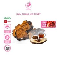 Nấm Chaga Nga Hỗ Trợ Giảm Huyết Áp Giảm Mỡ Máu Giảm Cholesterol Tăng Cường Hệ Miễn Dịch Giải Độc Gan
