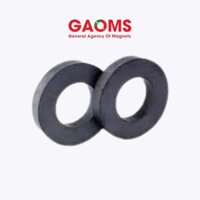 Nam châm vĩnh cửu lực hút mạnh 113x20 lỗ 60mm GAOMS, dùng làm loa