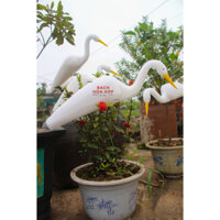 NĂM CÒ TRẮNG ĐỆM DẺO BẺ KHÔNG GÃY