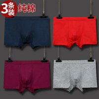 Nam Cotton Nguyên Chất Boxer Quần Đùi Màu Trơn Cotton Thoáng Khí Nam Gợi Cảm Giữa Eo Đỏ Boxer Quần Short