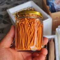 Nấm đông trùng hạ thảo khô sấy thăng hoa nguyên sợi lọ 10g Huy Cương. Trà đông trùng hạ thảo ngâm rượu, mật ong, pha trà