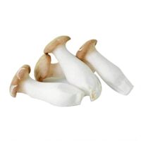 Nấm đùi gà Vân Nội (500g),