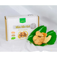 Nấm hầu thủ (nấm đầu khỉ) khô 100g, Tốt cho não và hệ thần kinh, bảo vệ dạ dày, Lion's mane mushroom, healthy,  Medifun