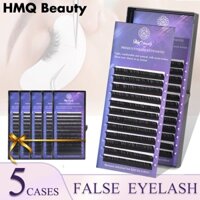 Năm hộp C D quánh lông mi giả được tạo bằng lông mi giả bằng tay giả