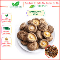 Nấm Hương Rừng Khô - Nấm Cúc, Nấm Xien - 1kg - Thảo mộc tây bắc