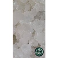 Nấm kefir nước dừa