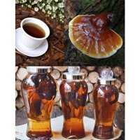 Nấm lim xanh (gói 1kg), nấm lim rừng tự nhiên hỗ trợ ung thư, tiêu đường, điều hòa huyết áp,