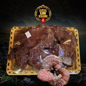 Nấm lim xanh quảng nam loại một 1kg hộp