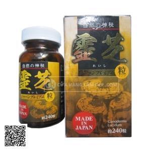 Nấm linh chi đen Nhật Bản 240 viên
