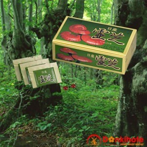 Nấm linh chi đỏ Nissan Reishi - 50 gói/hộp