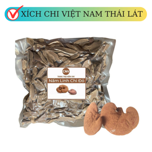 Nấm Linh Chi Đỏ Việt Nam