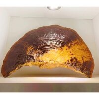 NẤM LINH CHI HỒNG CHI 200gr