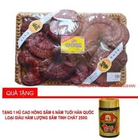 Nấm Linh Chi Núi Đỏ Hàn Quốc Đóng Giỏ 1kg + Tặng 1 lọ cao hồng sâm 6 năm tuổi Hàn Quốc 250g