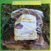 Nấm Linh Chi Rừng (Hồng Chi Việt Nam)