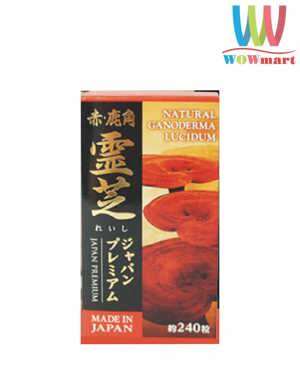 Nấm linh chi sừng hươu 1kg