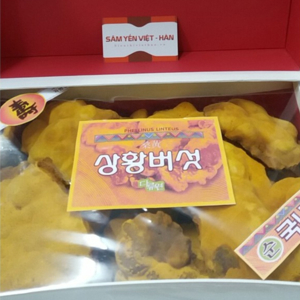 Nấm Linh Chi Thượng Hoàng Hàn Quốc 500 gr