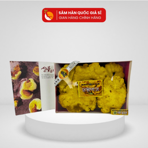 Nấm Linh Chi Thượng Hoàng Hàn Quốc 500 gr