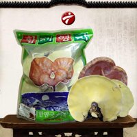 Nấm linh chi vàng thượng hạng Hàn Quốc đặc biệt túi xanh 1kg L038