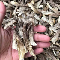 Nấm Lộc Nhung (Nấm Nhung Hươu)