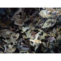 Nấm mèo (mộc nhĩ đen) loại khô 1kg