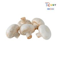 Nấm mỡ trắng