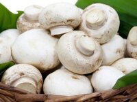 Nấm mỡ