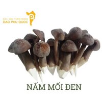 NẤM MỐI ĐEN TƯƠI