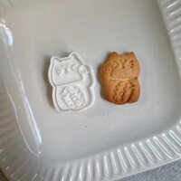 Năm Mới Mèo May Mắn Bánh Quy Khuôn Ba Chiều Hoạt Hình Ba Chiều Cookie Đẩy Loại Người Mới DIY Nướng Househ