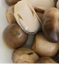 Nấm Rơm Sấy Khô hữu cơ 01KG