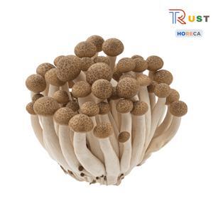 Nấm Shimeji Nâu 150g