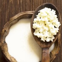Nấm sữa kefir 20gr