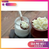Nấm Sữa Kefir Thuần Chủng F1 (Nuôi được cho 500ml sữa lần đầu)
