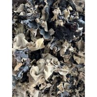 [NẤM TAI MÈO ] 1KG MỘC NHĨ RỪNG TỰ NHIÊN CÁNH TO DẦY MÌNH