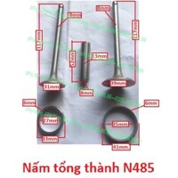 nấm tổng thành N485