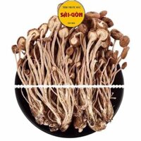 Nấm Trà Tân 100gram HÀNG TỰ NHIÊN (Nguyên liệu nấu canh, hầm bổ dưỡng) - Tiệm Thuốc Bắc Sài Gòn