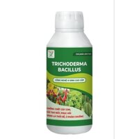 NẤM TRICHODERMA BACILUSS dạng nước