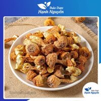 Nấm tùng nhung 1kg (Nấm quý, nấm thái dương nấu canh dưỡng sinh, lẩu nấm) - Thảo Dược Hạnh Nguyên