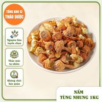 Nấm tùng nhung 1kg( Nấm quý, nấm thái dương nấu canh dưỡng sinh, phục hồi sức khỏe)