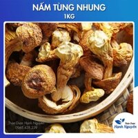 Nấm tùng nhung 1kg (Nấm quý, nấm thái dương nấu canh dưỡng sinh, lẩu nấm) - Thảo Dược Hạnh Nguyên