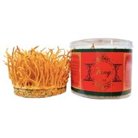 Nấm Tươi Đông Trùng Hạ Thảo FUNGI gold