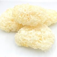 nấm tuyết 1 kg