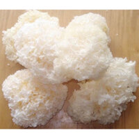 nấm tuyết 500g -1kg