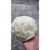 nấm tuyết khô 500g -1kg