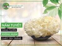 Nấm Tuyết (Mộc Nhĩ Trắng) Không Chất Bảo Quản | Nguyên Bông Không Vụn